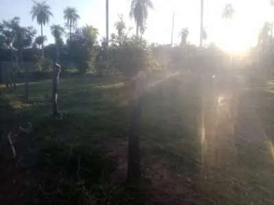 Terreno à Venda em Altos, Cordillera 2