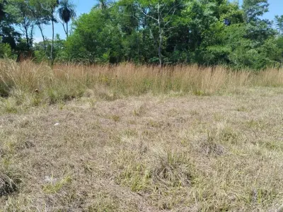 11 lotes de 360 m² cada uno en venta en Cerro Guy, Ypacaraí 3