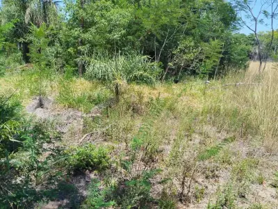 11 lotes de 360 m² cada uno en venta en Cerro Guy, Ypacaraí 4
