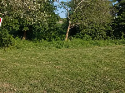 Terreno de 1.260 m² en Barrio Obrero, Bella Vista Norte 2