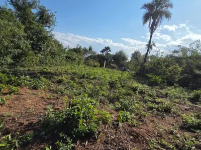 Lote de 360 m² (12x30 m) no Bairro San Pablo, Caacupé 3