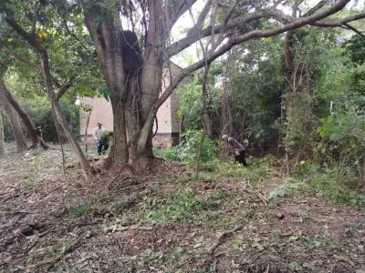 455 m² lot in Barrio Santo Domingo, San Bernardino 4