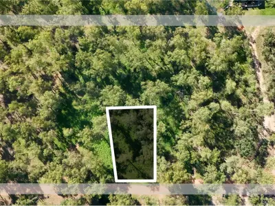 Land for sale in Parque Residencial Florentina, San Bernardino 4