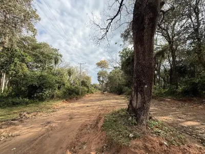 Três terrenos de esquina totalizando 1.080 m² no bairro Ciervo Cua, San Bernardino 3