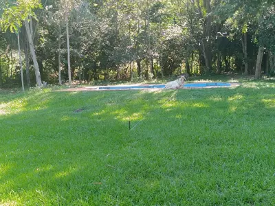 Venta de campo de 6 hectáreas en Sapucai, Arroyo Pora 2