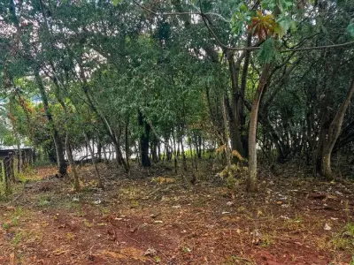 Propriedade rural à venda em Cambyretá com acesso ao rio Paraná 3