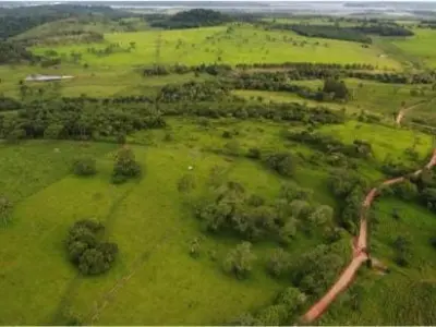 Propriedade rural à venda em Trinidad com riacho e casa 2