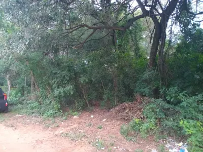 Venta de Terreno en Salado, Limpio: Lote de 406 m² 2