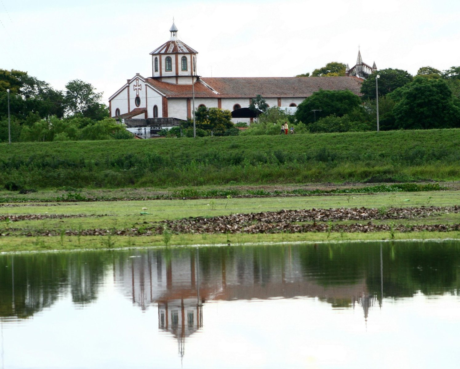 Tacuaras