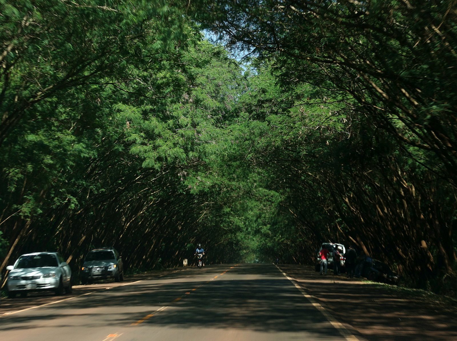 Santa Rita