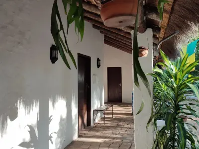 Ypané 3